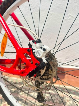 Bicicleta de Montaña Roja Specialized