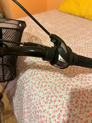 Bicicleta Berg Clásica Mujer