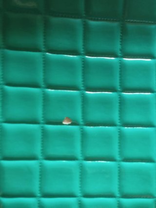 Borsetta frigo trapuntata verde