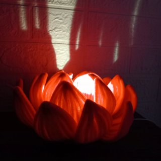 Lámpara LED Flor de Loto Artesanal Limpiapipas