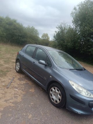 Peugeot 307 2007