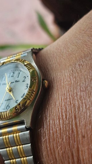 Reloj Christian Gar Mujer Dorado y Plateado