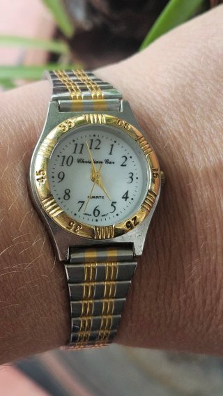 Reloj Christian Gar Mujer Dorado y Plateado