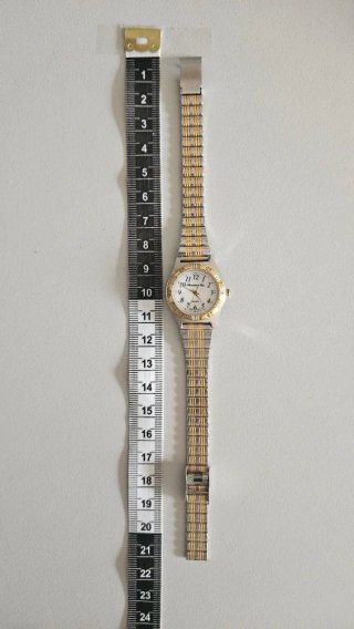 Reloj Christian Gar Mujer Dorado y Plateado