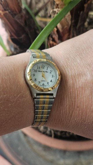 Reloj Christian Gar Mujer Dorado y Plateado