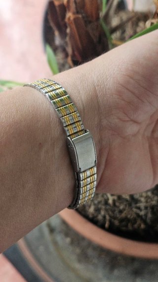Reloj Christian Gar Mujer Dorado y Plateado