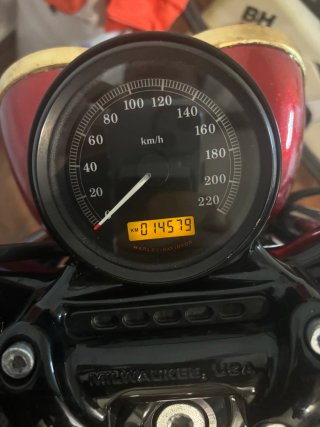 Harley Davidson Sportster 1200