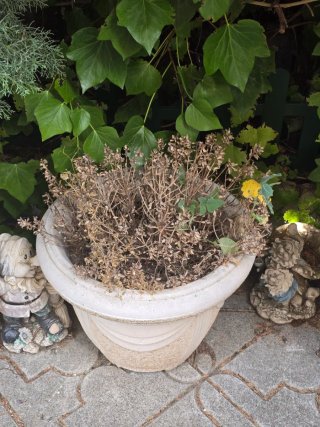 Jardinera piedra y plástico beige/verde
