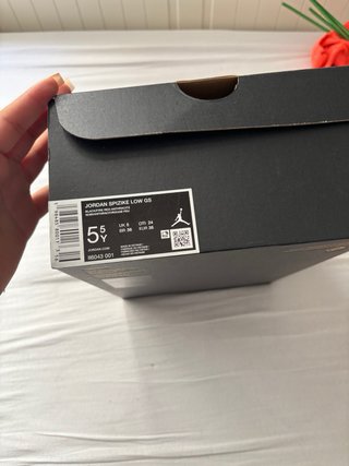 Jordan Spizike Low Negro Multicolor