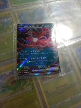 Carta Pokémon Yveltal EX 210 HP
