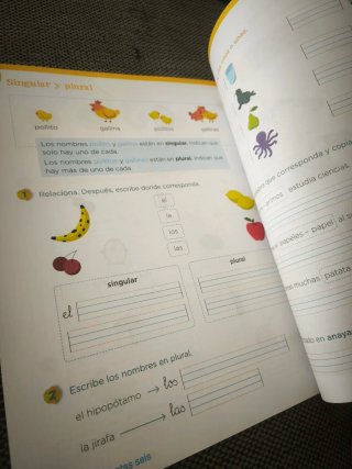 Lengua 1 Primaria : Operación Mundo