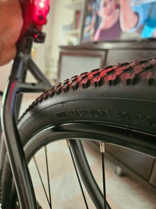 Bicicletas NTT 29( L)