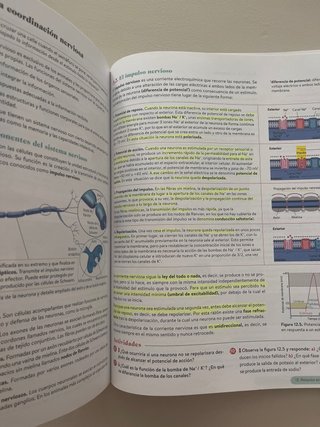 Biología, Geología y CC. Ambientales 1º Bachill...
