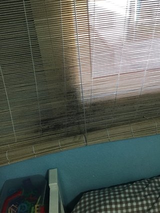 Estor de bambú para ventana