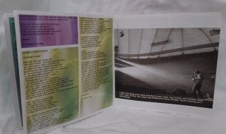 Limp Bizkit - Results May Vary CD