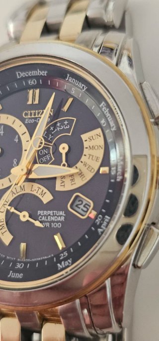 Reloj Citizen Eco-Drive Perpetual Calendar