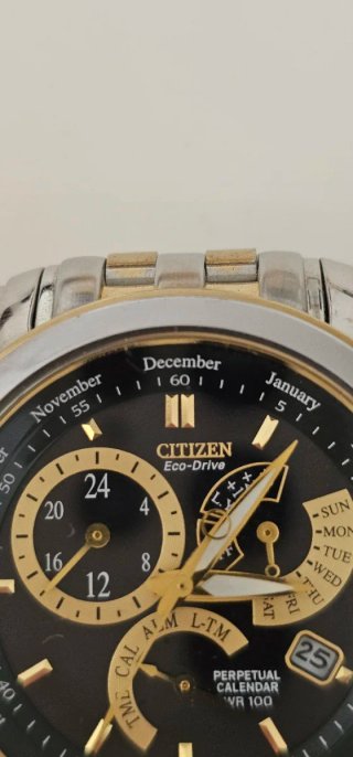 Reloj Citizen Eco-Drive Perpetual Calendar