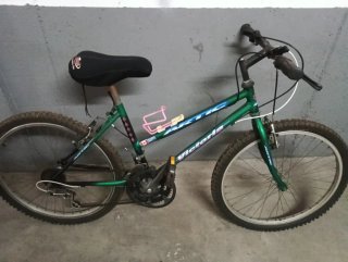 Bicicleta Montaña Verde Victoria