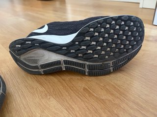 Zapatillas Nike Pegasus