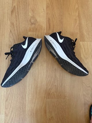 Zapatillas Nike Pegasus