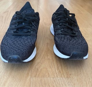 Zapatillas Nike Pegasus
