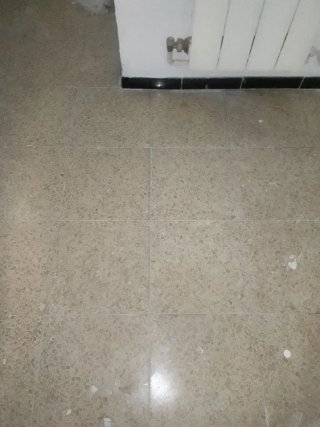 Trabajos de paleta