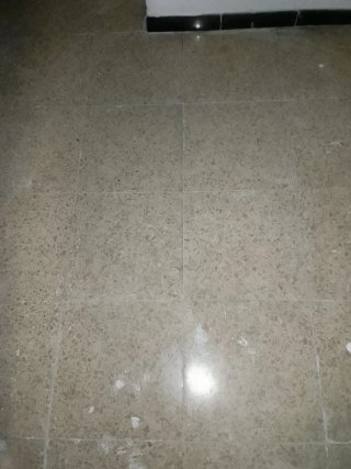 Trabajos de paleta