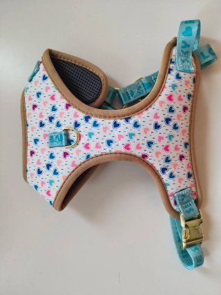 Arnés para perro talla M con correa