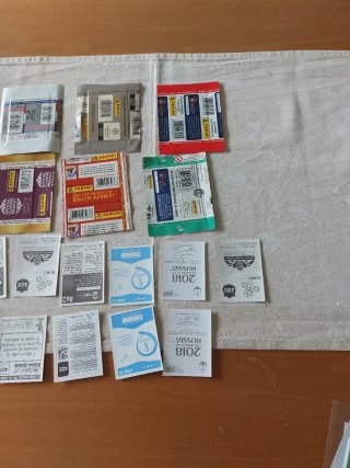 6 bustine figurine Panini + figurine campioni