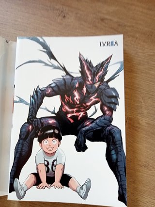 MY HERO ACADEMIA 5 ONE PUNCH- - MAN