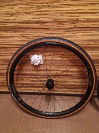 Ruedas Bontrager Paradigm Comp Disc