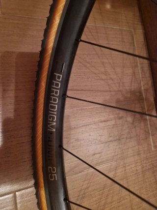 Ruedas Bontrager Paradigm Comp Disc