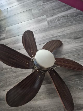 Ventilador de techo gris con luz 40€ los dos.