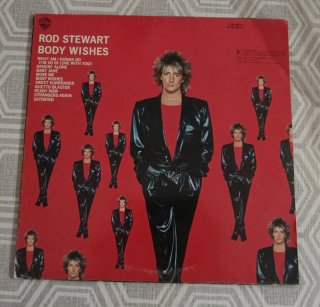 Vinilo LP Rod Stewart Body Wishes
