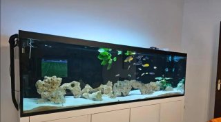 Acuario completo con accesorios