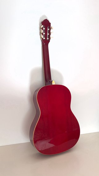 Guitarra Acústica Española Asthon SPC34TRB