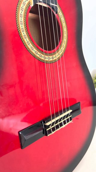 Guitarra Acústica Española Asthon SPC34TRB