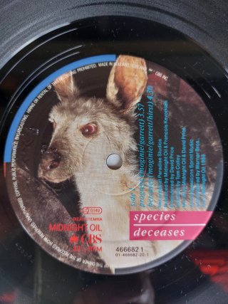 2x Vinilos Midnight Oil
