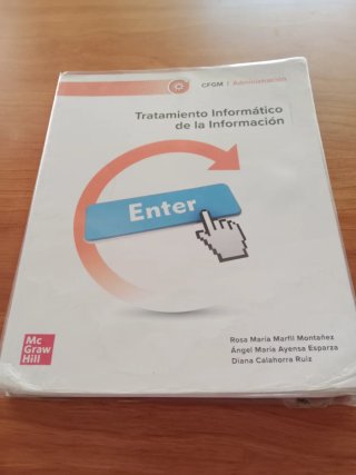Tratamiento informático de la informacion