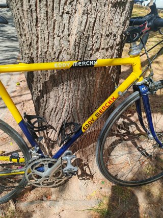 Bicicleta Eddy Merckx Amarilla y azul