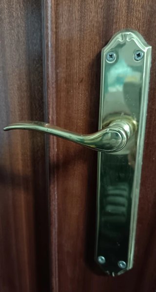 Manilla de puerta dorada