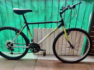 Bicicleta Orbea Vintage