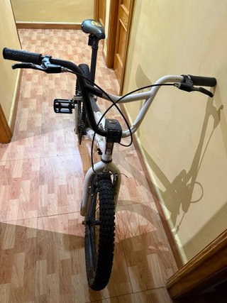 Bicicleta Monti adición limitada