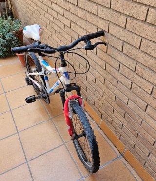 Bicicleta infantil 20 Cross Country