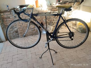 Bicicletta da corsa blu