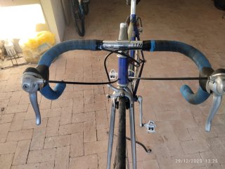 Bicicletta da corsa blu