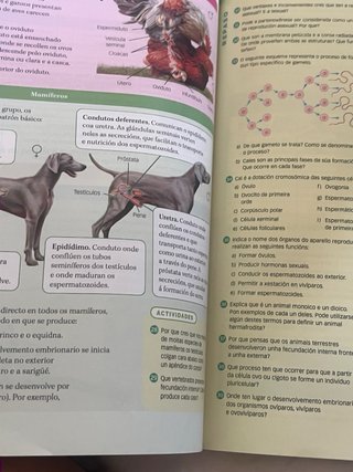 Libro 1º Bachillerato Biología, Geología y C. Ambi