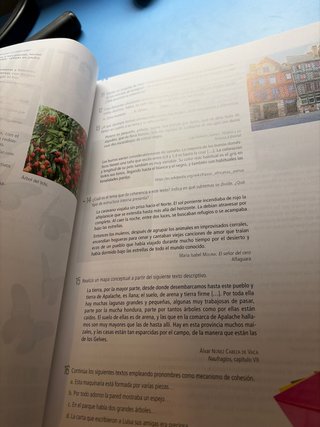 Lengua castellana y literatura, 3, Secundaria E...