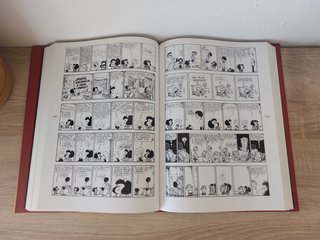 Todo Mafalda