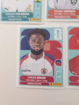 Cromos Mundial Panini(EEUU)
